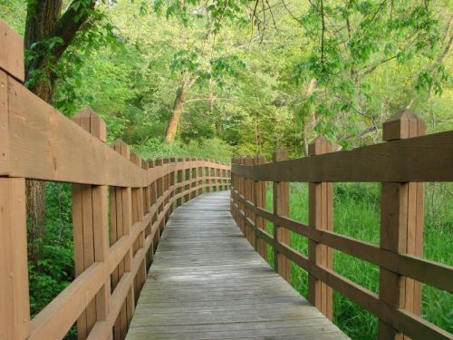 A winding wooden pathway surrounded by lush green trees and grass.