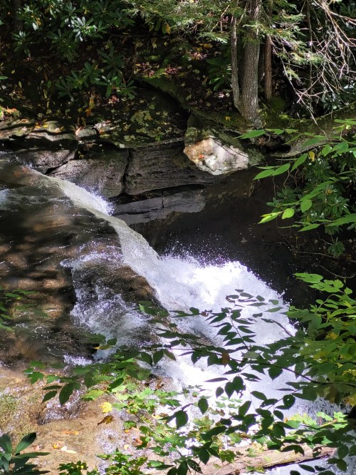 A serene waterfall cascading over rocks, surrounded by lush greenery and dappled sunlight.