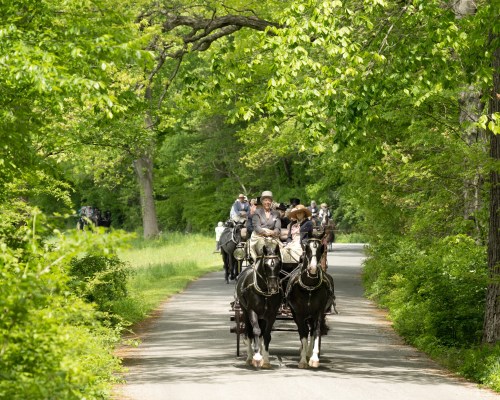 A horse-drawn carriage travels down a tree-lined road, surrounded by lush greenery and people in period clothing.