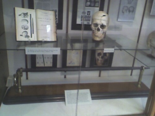 A display case featuring a human skull, books, and photographs related to anatomy and forensic science.