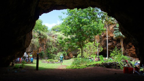 View from a cave entrance, revealing a lush green landscape with people gathered in a natural setting.