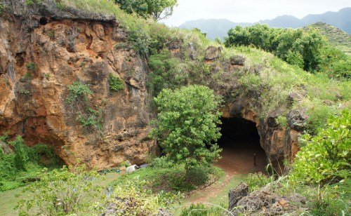 A lush, green landscape featuring a rocky cave entrance surrounded by trees and vegetation.