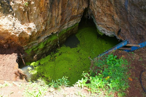 A deep, rocky pit filled with green algae and surrounded by lush vegetation.