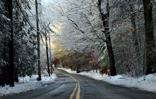 A snowy road lined with trees, their branches dusted with snow, leading into a bright, sunlit background.