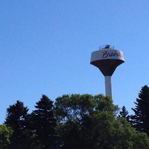 Water tower with the word "Brandon" on it, surrounded by trees and a clear blue sky.