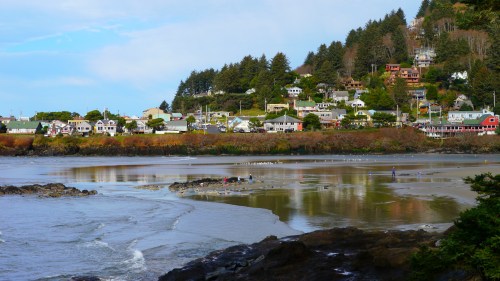 Coastal view with a sandy beach, rocky shore, and hillside homes surrounded by trees under a clear blue sky.