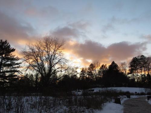 A winter sunset with colorful clouds behind silhouetted trees and a snowy path.