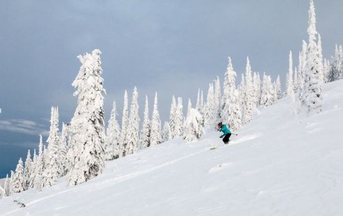A skier descends a snowy slope surrounded by tall, snow-covered trees under a cloudy sky.