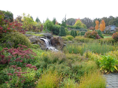 A serene garden scene featuring a small waterfall, lush greenery, and colorful autumn foliage.