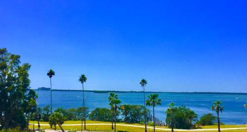 A serene view of a blue sky over a calm body of water, lined with palm trees and lush greenery.