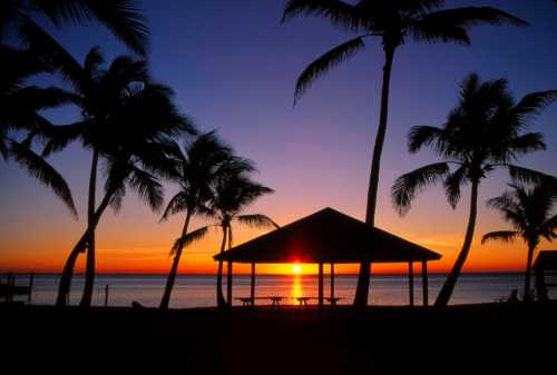 Silhouette of palm trees and a gazebo against a vibrant sunset over the ocean.