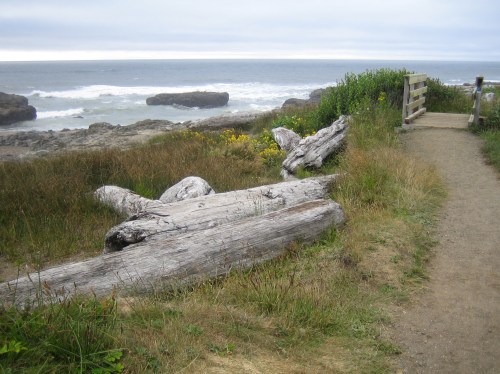 A coastal path lined with driftwood and grass, leading to the ocean under a cloudy sky.