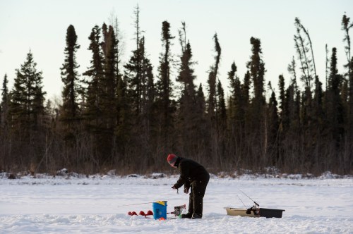 A person ice fishing on a snowy landscape, surrounded by tall trees in the background.