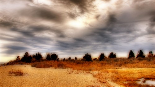 A sandy beach with sparse vegetation under a dramatic, cloudy sky.