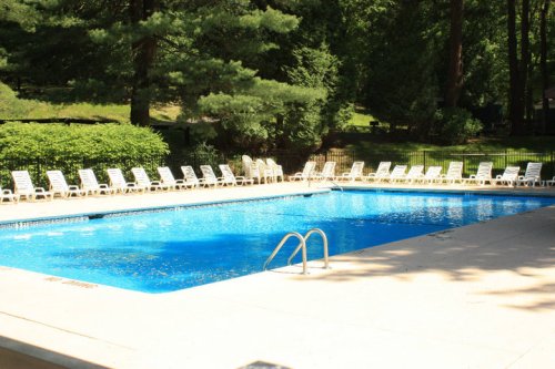 A clear blue swimming pool surrounded by lounge chairs and lush greenery in a sunny outdoor setting.