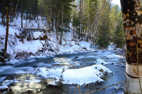 A serene winter scene featuring a flowing river surrounded by snow-covered trees and a snowy landscape.