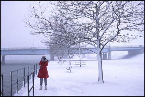A person in a red coat stands by a snowy riverbank, taking a photo with bare trees and a bridge in the background.