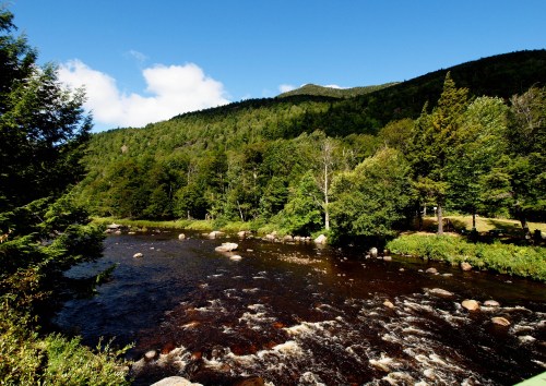A serene river flows through a lush green landscape, surrounded by trees and mountains under a clear blue sky.