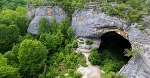 Aerial view of a rocky cliff with a large cave entrance surrounded by lush green trees and vegetation.