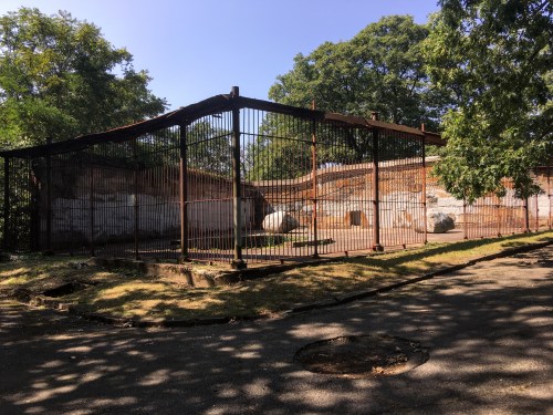 An old, rusted animal enclosure surrounded by trees and grass, with a clear blue sky above.