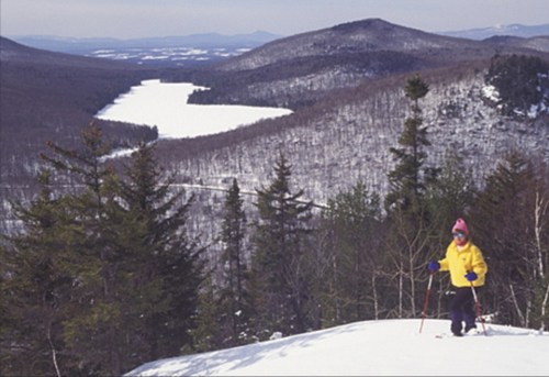 A person in a yellow jacket skis on a snowy slope, overlooking a frozen lake and distant mountains.