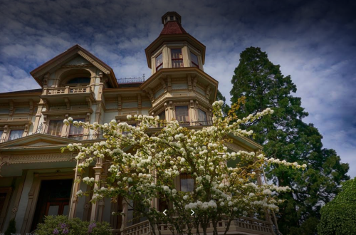 A grand Victorian mansion with a turret, surrounded by blooming white flowers and tall green trees under a cloudy sky.