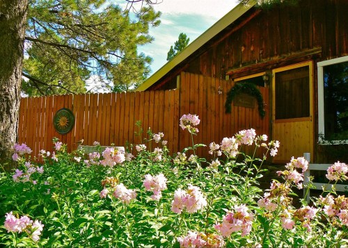 A charming wooden house surrounded by blooming pink flowers and a wooden fence under a clear blue sky.