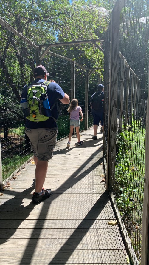 A man and a child walk along a wooden path surrounded by greenery and a wire fence on a sunny day.