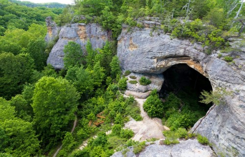 Aerial view of a rocky cliff with a large cave entrance, surrounded by lush green trees and vegetation.