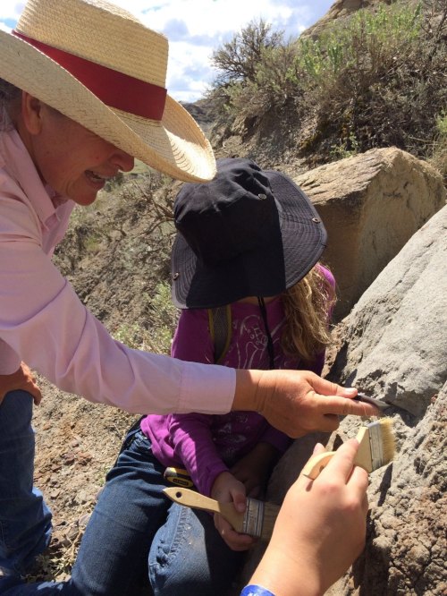 A person in a straw hat guides a child in brushing dirt off a rock, both focused on a fossil discovery outdoors.