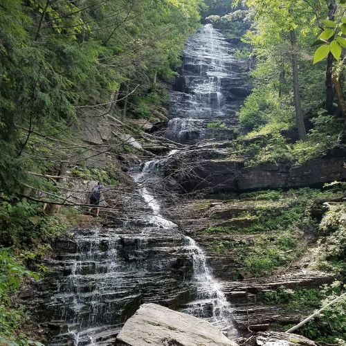 A cascading waterfall flows down rocky steps, surrounded by lush green trees and foliage.