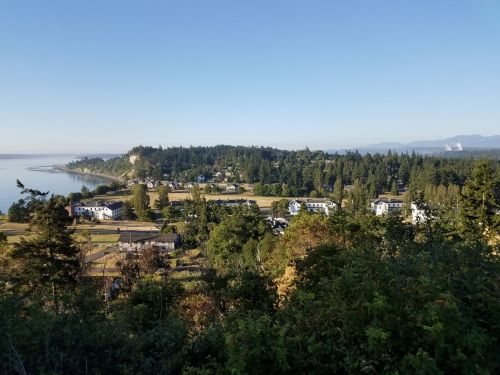 A scenic view of a lush landscape with trees, houses, and a calm body of water under a clear blue sky.