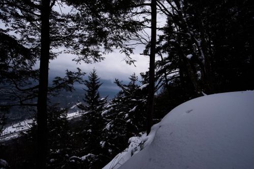 A snowy landscape framed by trees, with a cloudy sky and distant mountains visible in the background.