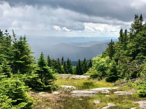A scenic view of a mountainous landscape with lush green trees and cloudy skies in the background.