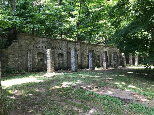 Ruins of a stone structure surrounded by trees and greenery, with several stone columns standing amidst the overgrown area.