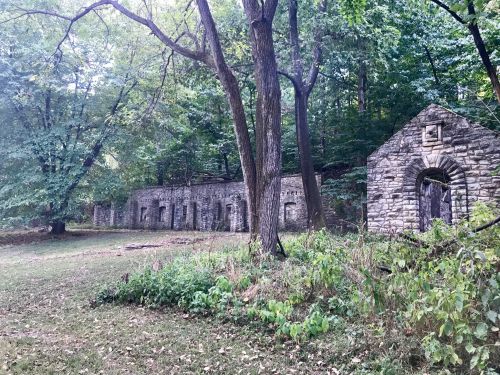 Ruins of a stone building surrounded by trees and greenery in a forested area.