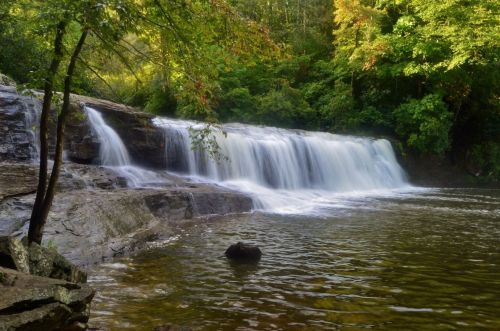 A serene waterfall cascades over rocks into a calm pool, surrounded by lush green trees and foliage.