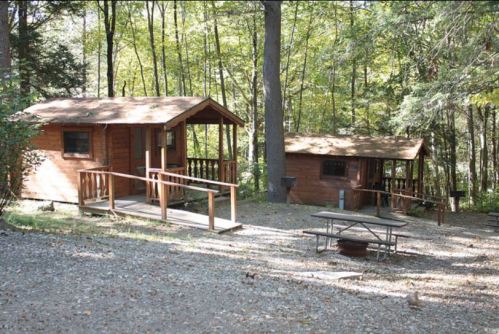 Two wooden cabins in a forested area, surrounded by trees, with a picnic table and fire pit in front.