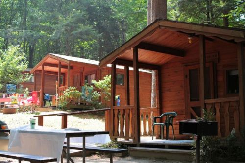 Wooden cabins nestled in a forest, with outdoor seating and a picnic table in front.