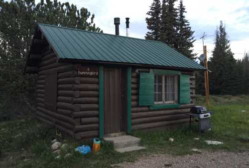 A rustic log cabin with a green metal roof, surrounded by trees and a grill outside.