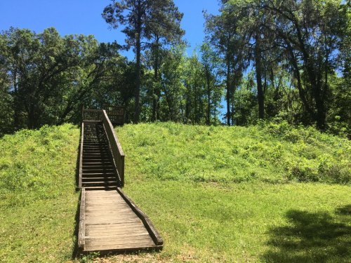 A wooden staircase leads up a grassy hill, surrounded by trees under a clear blue sky.