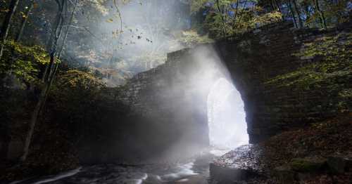 A misty stone archway in a forest, with soft light illuminating the entrance and a flowing stream nearby.