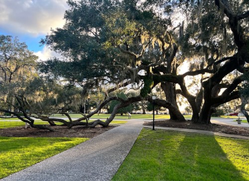 A winding pathway leads through a park with large, moss-covered trees and soft sunlight filtering through the branches.