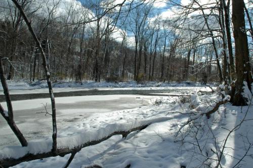 A serene winter landscape featuring a frozen river surrounded by snow-covered trees and a cloudy sky.