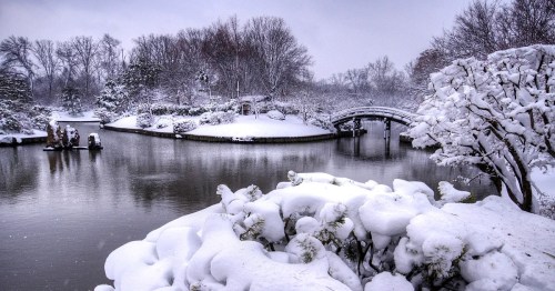 A serene winter landscape featuring a snow-covered bridge over a calm river, surrounded by trees and snow-laden bushes.