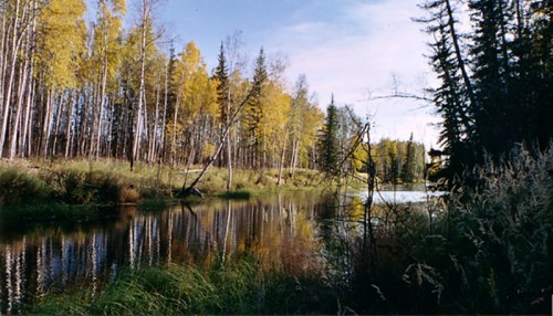 A serene river scene surrounded by trees with autumn foliage, reflecting in the calm water under a clear sky.