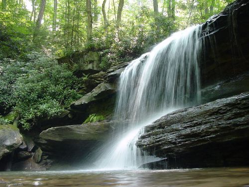 A serene waterfall cascading over rocks, surrounded by lush green foliage in a tranquil forest setting.
