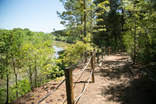 A scenic path lined with wooden posts leads to a calm river, surrounded by lush green trees and bright blue sky.