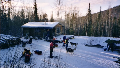 A snowy landscape with a wooden cabin, people preparing for an outdoor activity, and dogs playing in the snow.