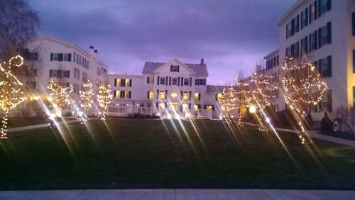 A beautifully lit courtyard with trees adorned in lights, surrounded by elegant buildings under a twilight sky.